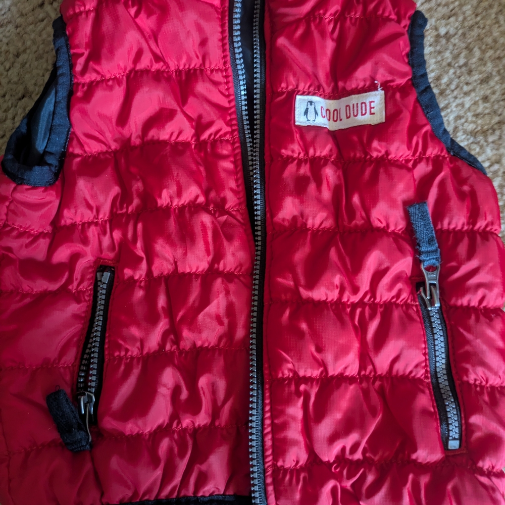 Cool Dude Red Puffer Vest